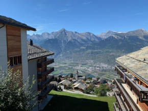 welcoming apartment in Veysonnaz